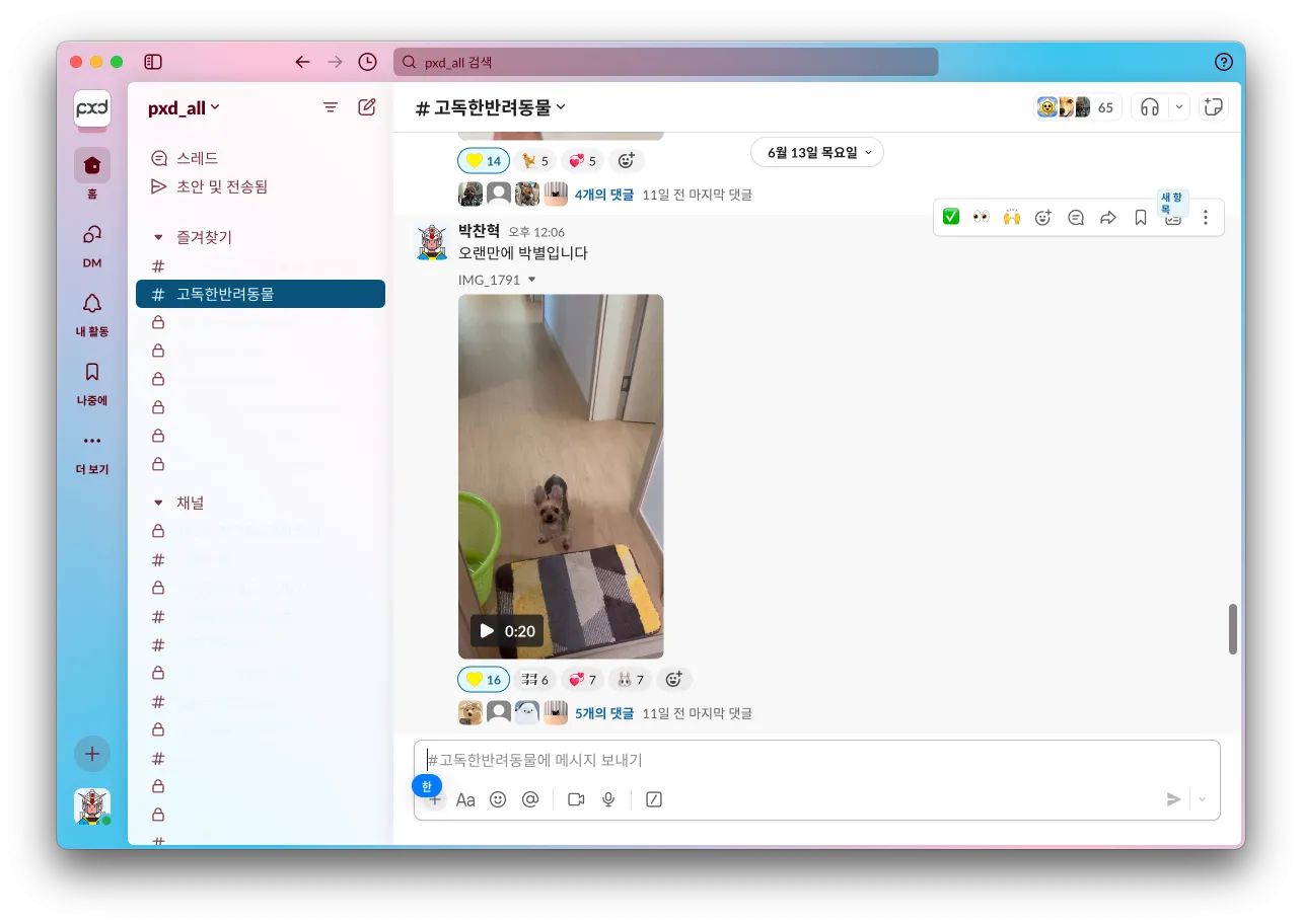 01_생성형 AI, 세상 모든 견종을 NFT로 만들 수 있을까.webp
