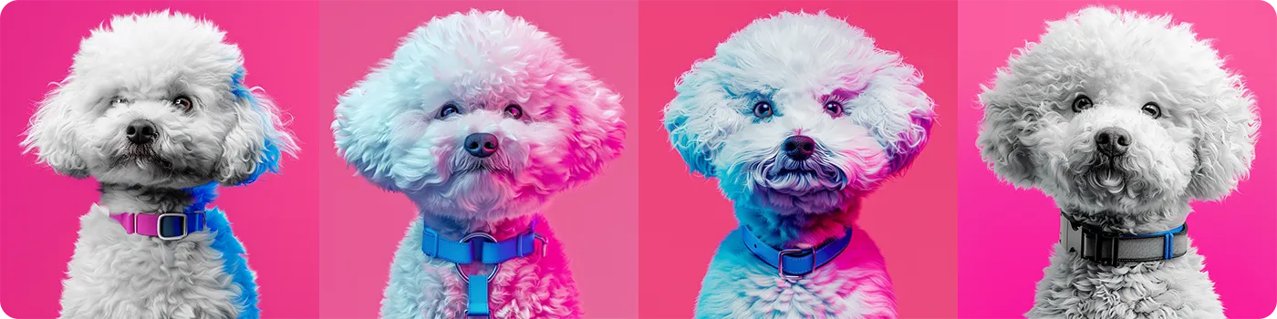 12_생성형 AI, 세상 모든 견종을 NFT로 만들 수 있을까.webp