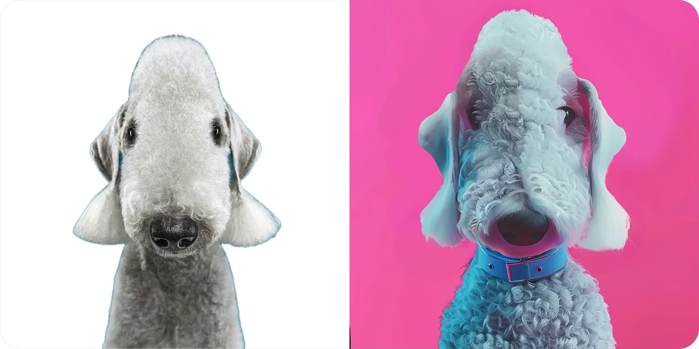 20_생성형 AI, 세상 모든 견종을 NFT로 만들 수 있을까.webp