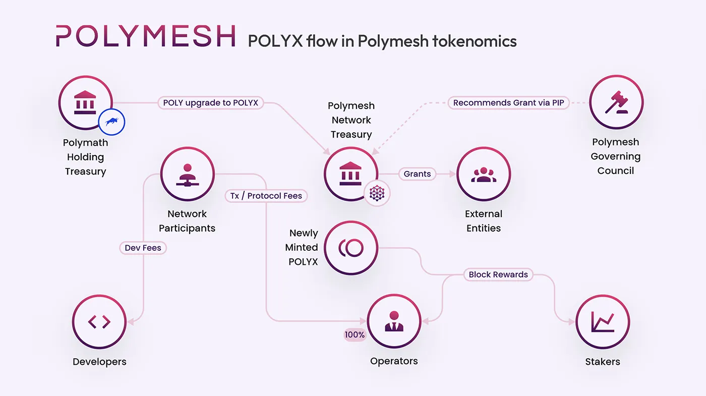 토크노믹스(Tokenomics) | Insights | pxd
